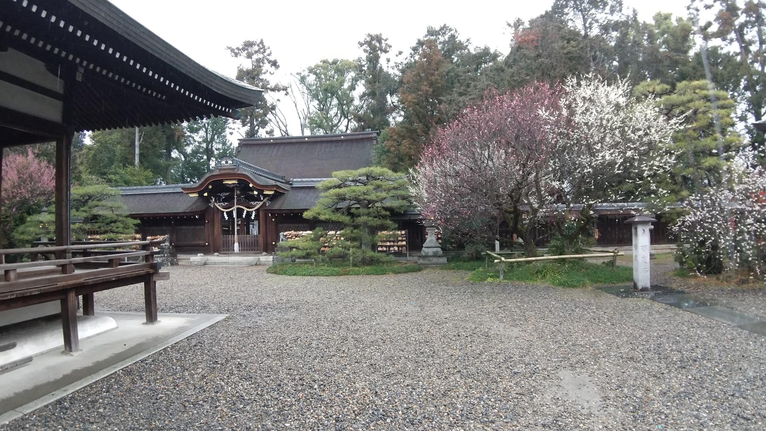京都・梅宮神社