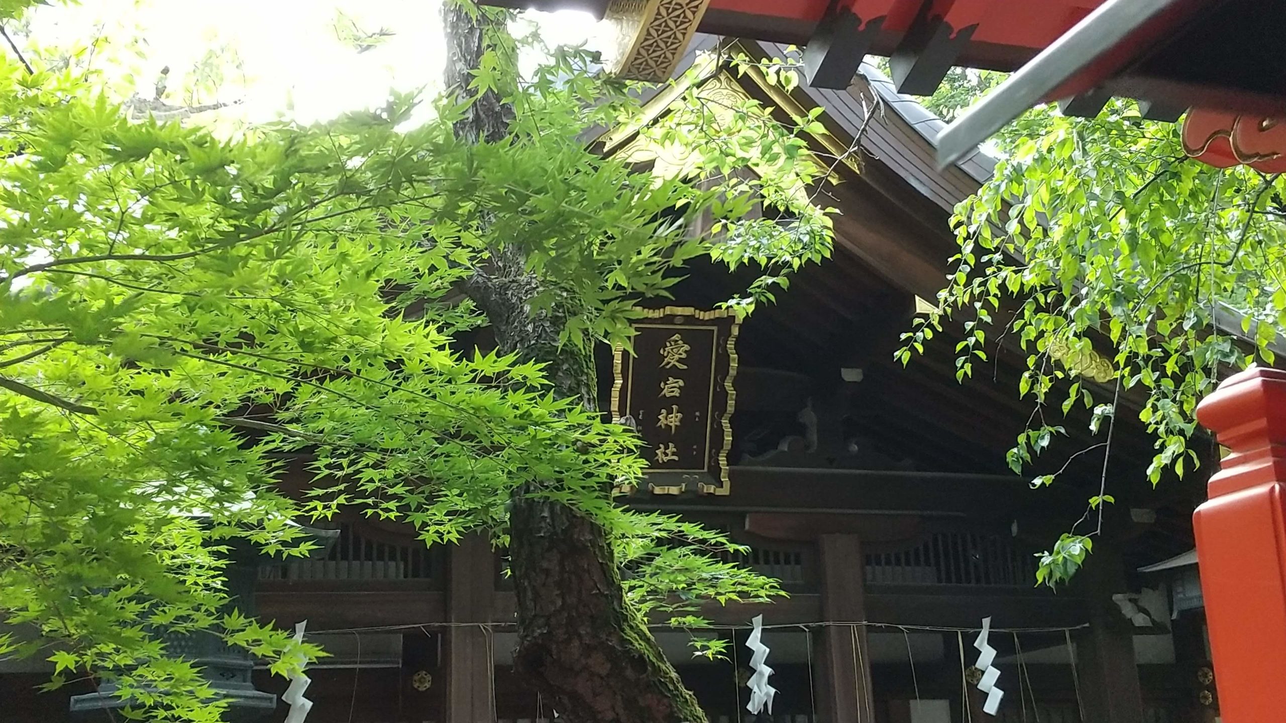 愛宕神社（東京都港区）の本殿